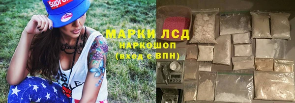 прущие грибы Саяногорск