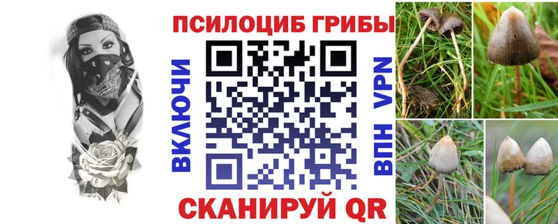Галлюциногенные грибы прущие грибы  Мичуринск 